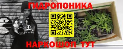 прущая мука Будённовск