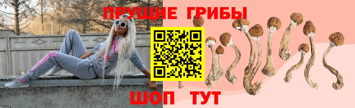 Тихвин  Псилоцибиновые грибы Magic Shrooms  Псилоцибиновые грибы мухоморы  Вход с VPN 